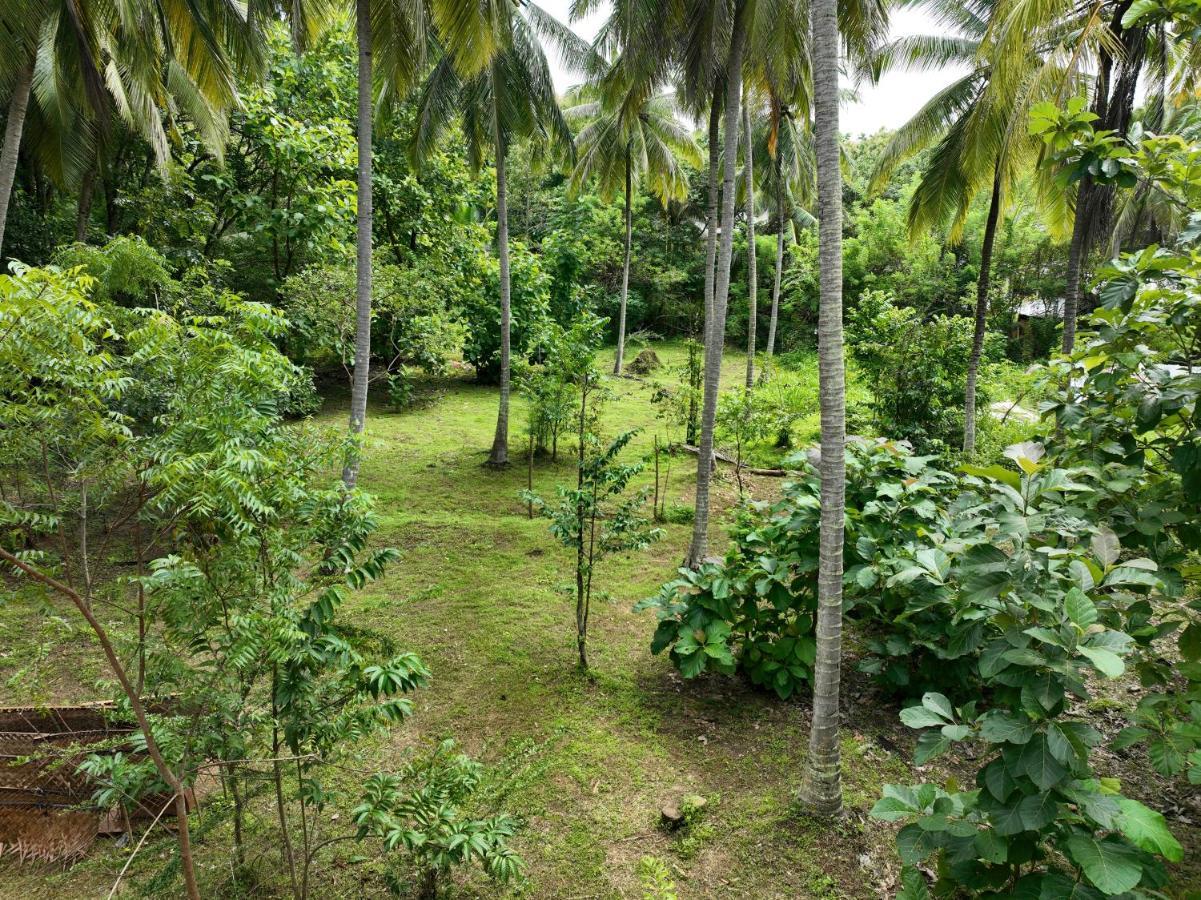 Coconut Tree House Hotel Udawalawe Kültér fotó