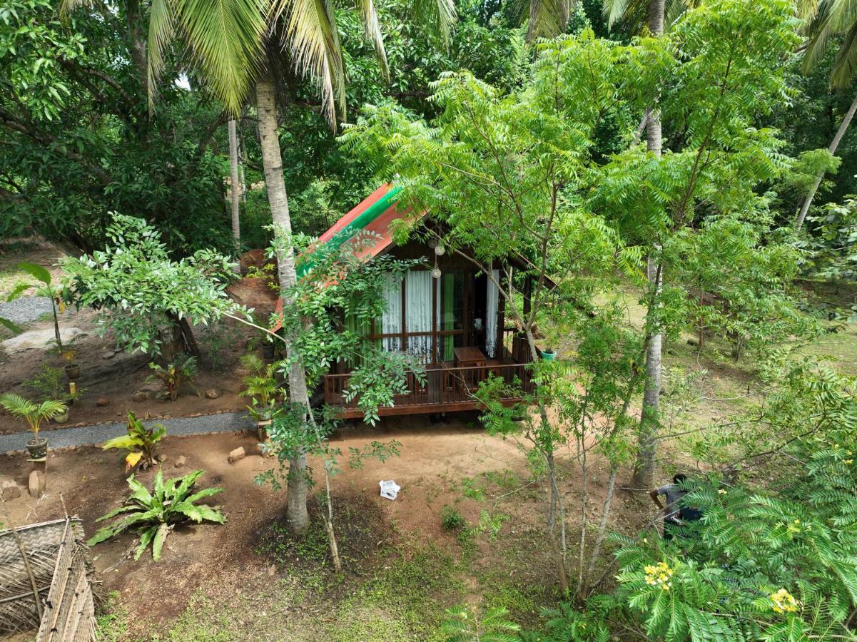 Coconut Tree House Hotel Udawalawe Kültér fotó