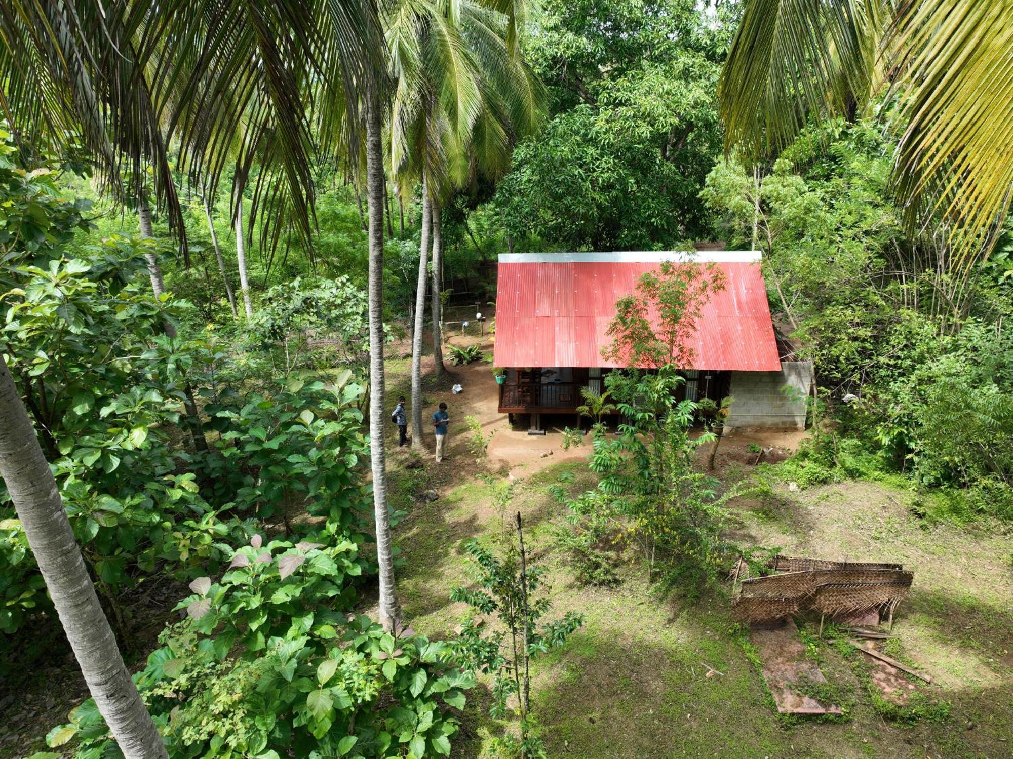 Coconut Tree House Hotel Udawalawe Kültér fotó