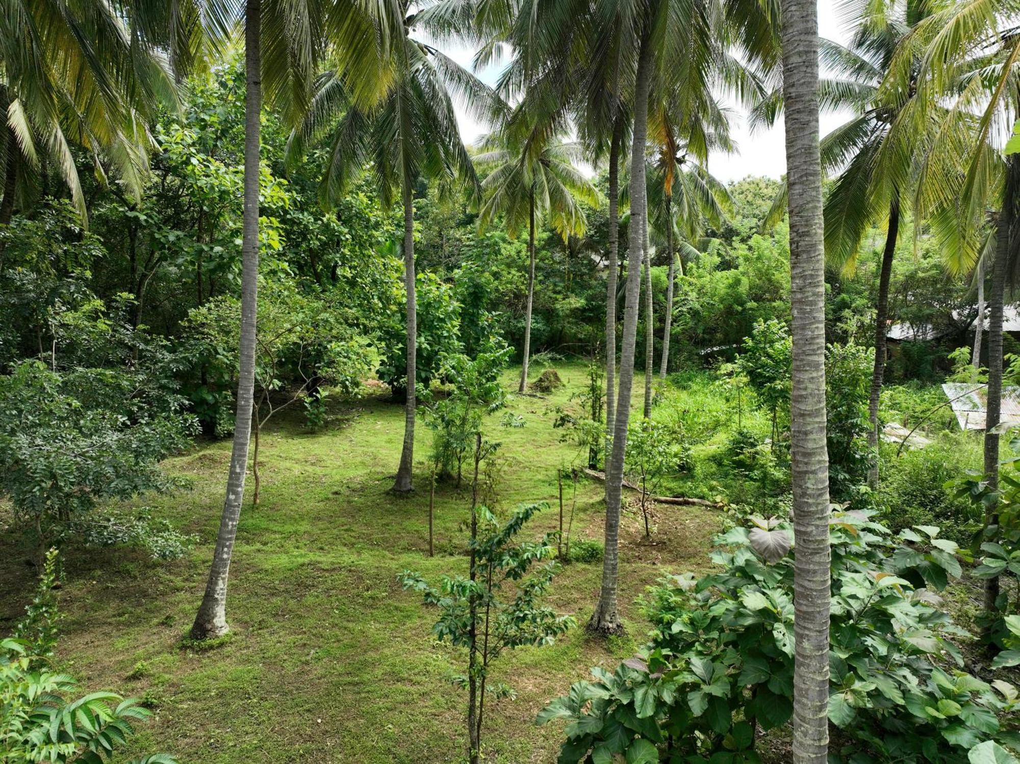 Coconut Tree House Hotel Udawalawe Kültér fotó