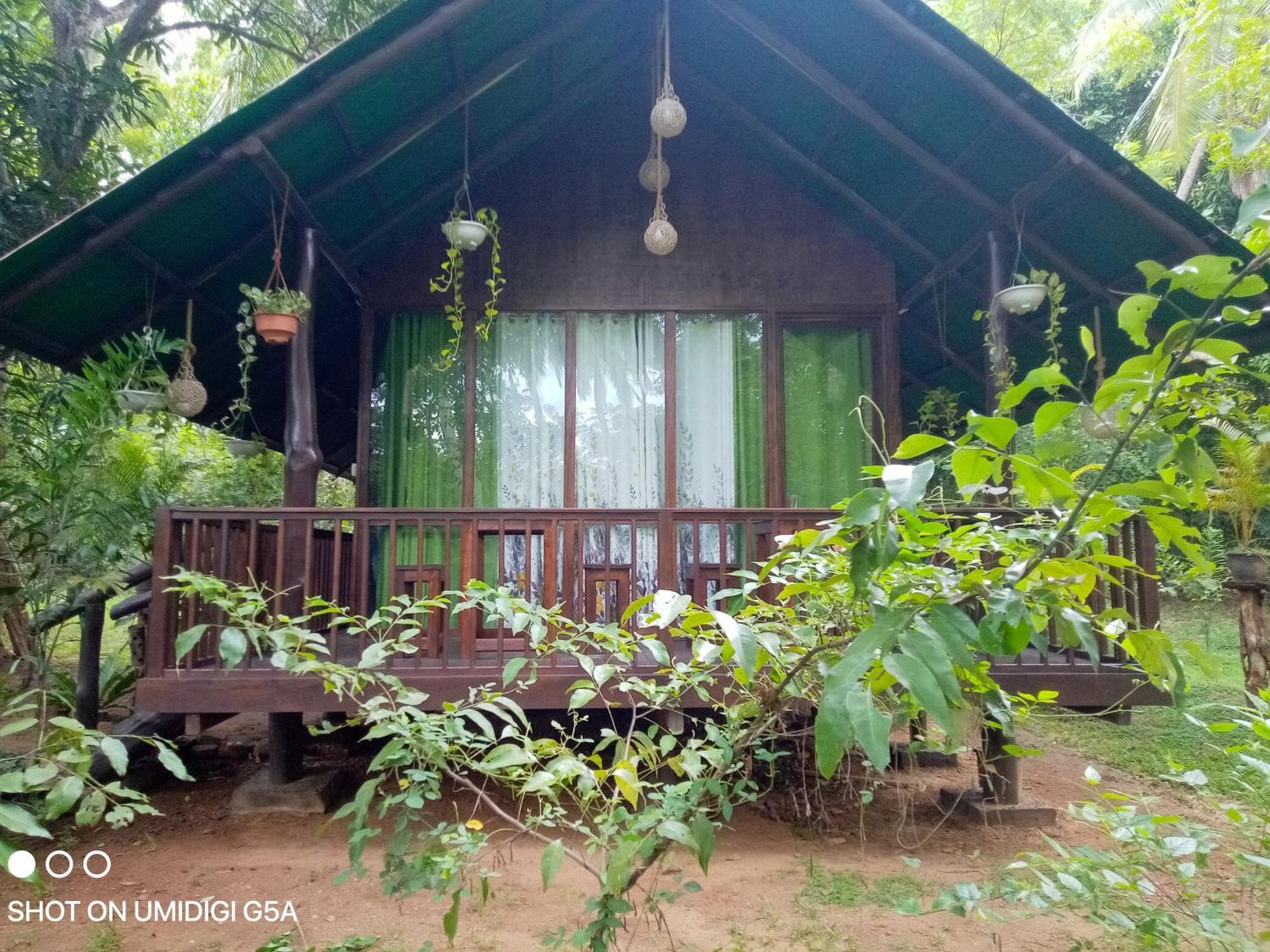 Coconut Tree House Hotel Udawalawe Kültér fotó