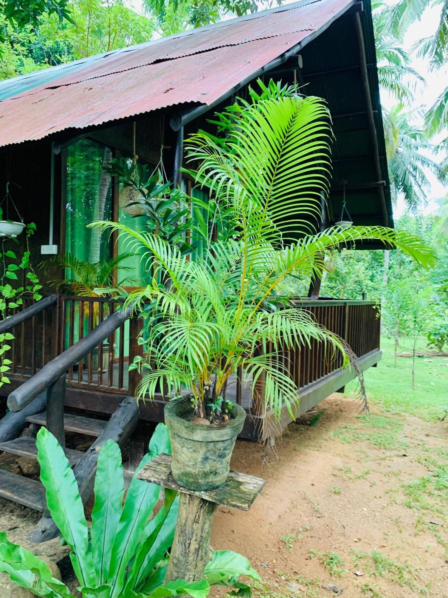 Coconut Tree House Hotel Udawalawe Kültér fotó