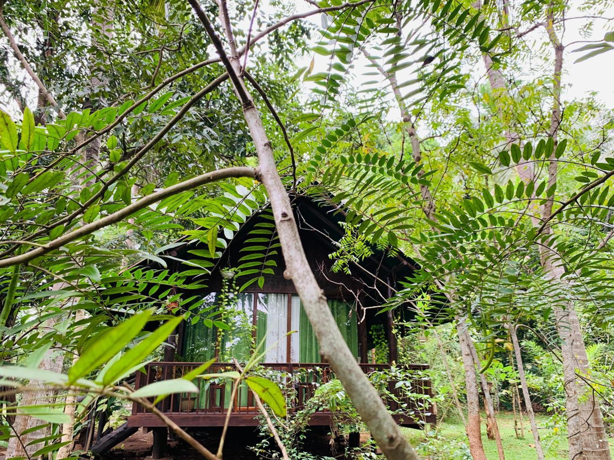 Coconut Tree House Hotel Udawalawe Kültér fotó