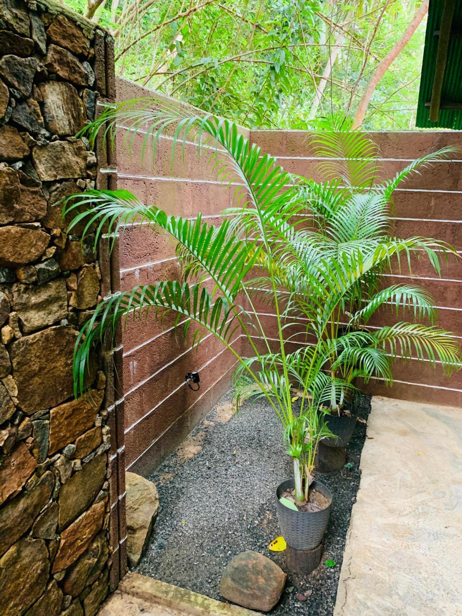 Coconut Tree House Hotel Udawalawe Kültér fotó